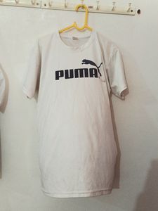 L Size Used