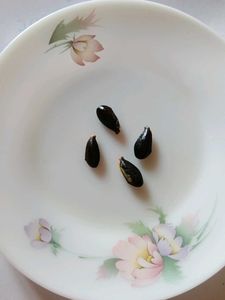 Sabeda Seeds