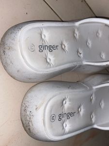 Ginger Slides