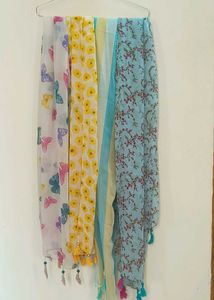 Elegant Printed Dupattas