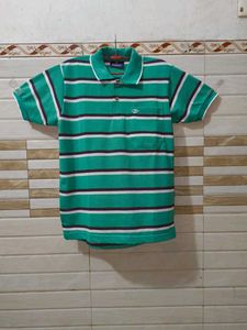 Striped Green Polo Shirt