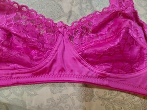 laika international bra panty