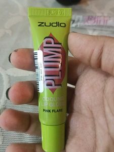 Zudio Lip Gloss Combo