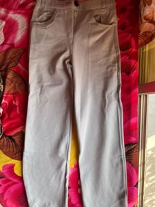 Formal Fitted Grey Pant/Trouser