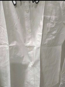 Cat Collar White Button-Up