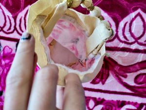 Potali Purse