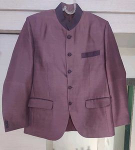 (NEW) Mauve Coat/Jacket for Men