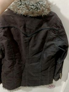 Amazing Winter Jacket For Women