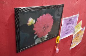 Red Flower Wall Decoration Frame | Wall Frame