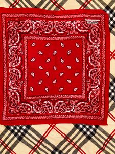Red Paisley Bandana