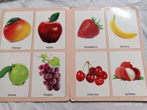 Bright &amp; Bold “My Big Board Book: FRUITS”