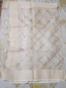 White Organza Dupatta