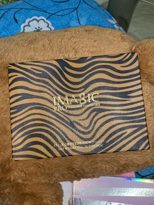 Imagic Professional 35 Color Eyeshadow Palette