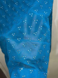 Blue Embellished Saree
