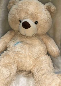Soft Furrry Off White 🧸 Bear