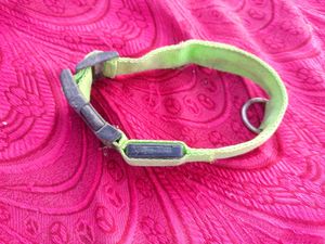 Dog Neck Belt