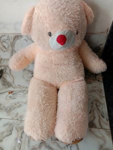 Cash 600 Teddy Bear Special For Valentine