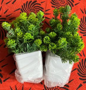 artificial plants
