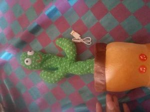 New Cactus 🌵🌵🌵🌵🌵 Toys Dancer