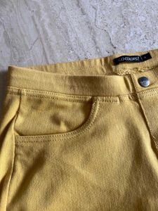 Stylish Mustard Slim Fit Pants