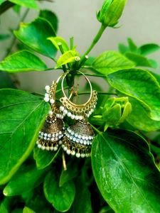 Beautiful Jhumka Earrings