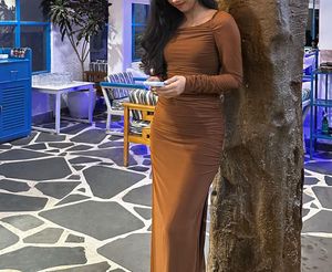 Beautiful Bodycon Brown Dress