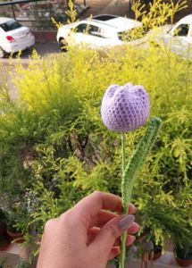Crochet Tulip