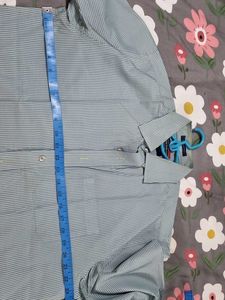 Formal Striped Peter England Shirt