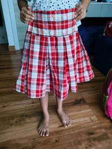 Red Plaid Pleated Skirt