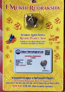 1 Mukhi Rudraksha Pendant