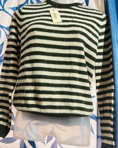 Winter Sweatshirt