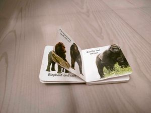 Wild Animals Baby Book