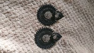 Black Statement Earrings