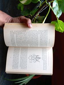DEVDUTT PATTANAIK INDIA&#39;S BESTSELLING MYTHOLIGIST