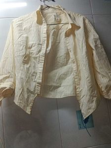 Striped Button-Down Shirt
