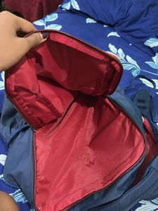 Wildcraft Backpack