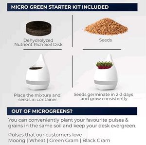 Everyday Organisers Sprout