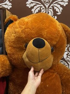 Giant Teddy Bear