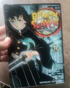 Demon Slayer Vol. 12 Manga