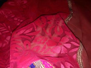 Elegant Embroidered Saree