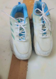 Sports Shoes