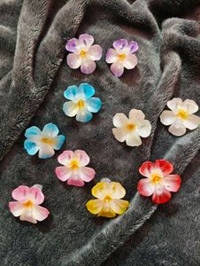 Floral Resin hair clips