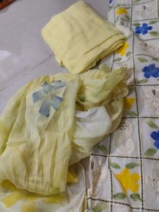 Organza Suit Sale