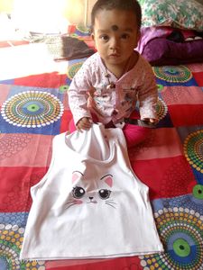 Beautiful Cat 😺 Top 😍