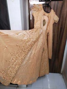 Elegant Ethnic Gown
