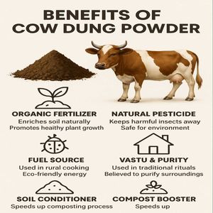 Cow Dung Powder