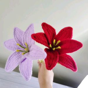 Beautiful Lily Flowers