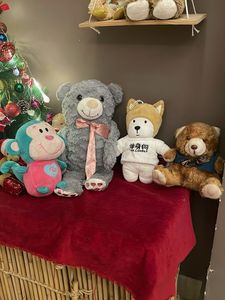 Assorted Plush Toys - Bear, Monkey, More!