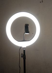 5 Day old Digitech Ring Light new