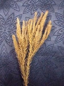 Fake Dried Flower Bundle